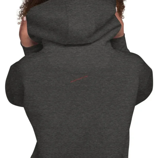 unisex-premium-hoodie-charcoal-heather-zoomed-in-6554b993b7e83.jpg