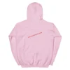 unisex-heavy-blend-hoodie-light-pink-back-65b5a11524047.jpg