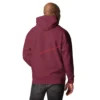 unisex-premium-hoodie-maroon-back-65b0e0e60f87d.jpg