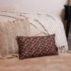 all-over-print-premium-pillow-20x12-back-65bcc050ee5f5.jpg