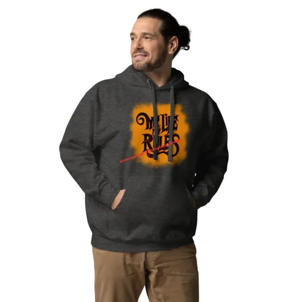 unisex-premium-hoodie-charcoal-heather-front-65fffdd9e15b1.jpg