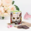white-ceramic-mug-with-color-inside-green-11-oz-front-6612887af1251.jpg