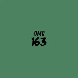 DMC 163 - Celadon Green Md