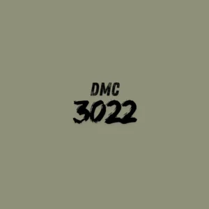 DMC 3022 - Brown Gray Med