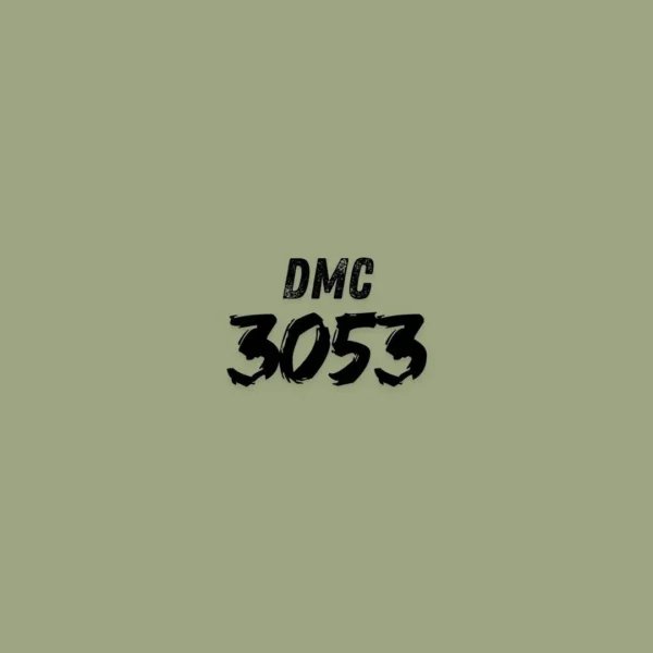 3053