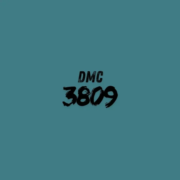 3809