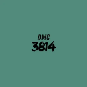 DMC 3814 - Aquamarine