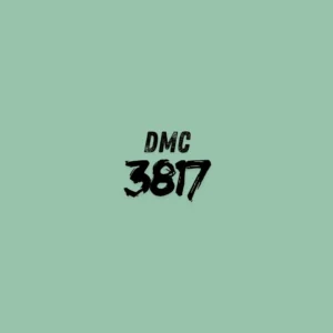 DMC 3817 - Celadon Green Lt