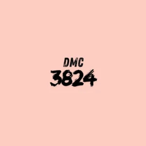 DMC 3824 - Apricot Light