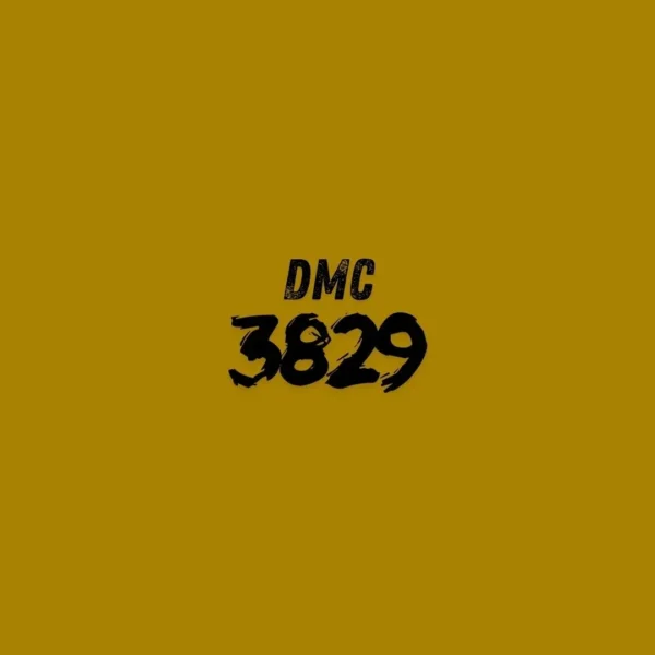 3829