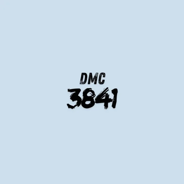 3841