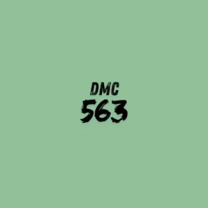 DMC 563 - Jade Light