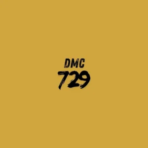 DMC 729 - Old Gold Medium