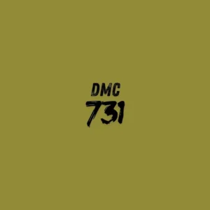 DMC 731 - Olive Green Dk