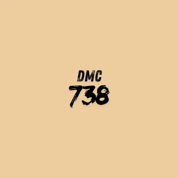 738